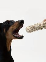Juguete De Malla Para Perros Duradero Anti-Mordisco Para Medianos Y Grandes Raza Adecuada Golden Retriever Pitbull Labrador - details 1