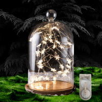 Luces De Hilo De Estrella LED 4M Con Cable De Cobre Para Decoración De Boda Y Fiesta En Casa Garlands De Navidad Operadas Por CR2032 - details 8