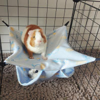 Colchón De Encaje Para Hamsters Y Otros Pequeños Animales Almohadilla De Malla De Rattan Para Chinchillas Nutria Y Erizos Suministros De Mascotas - details 2