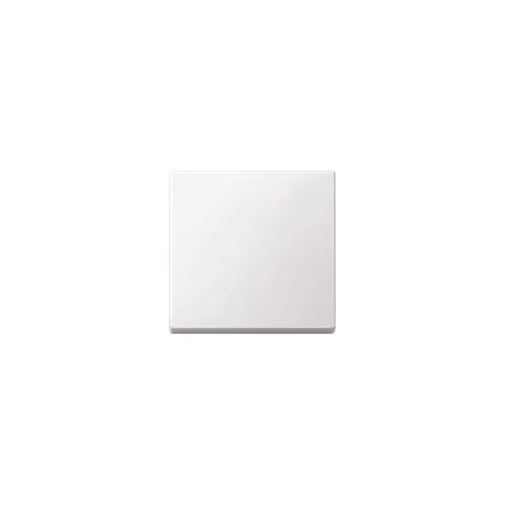 Schneider Electric Tecla Simple Marfil SCHNEIDER MTN432119 - Diseño Elegante y Fácil Instalación - 1