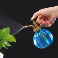 Botella De Rociador De 350ML Para Riego De Plantas Y Suculentas Herramienta Small Garden Metálica Para Jardín Y Suministros - details 7