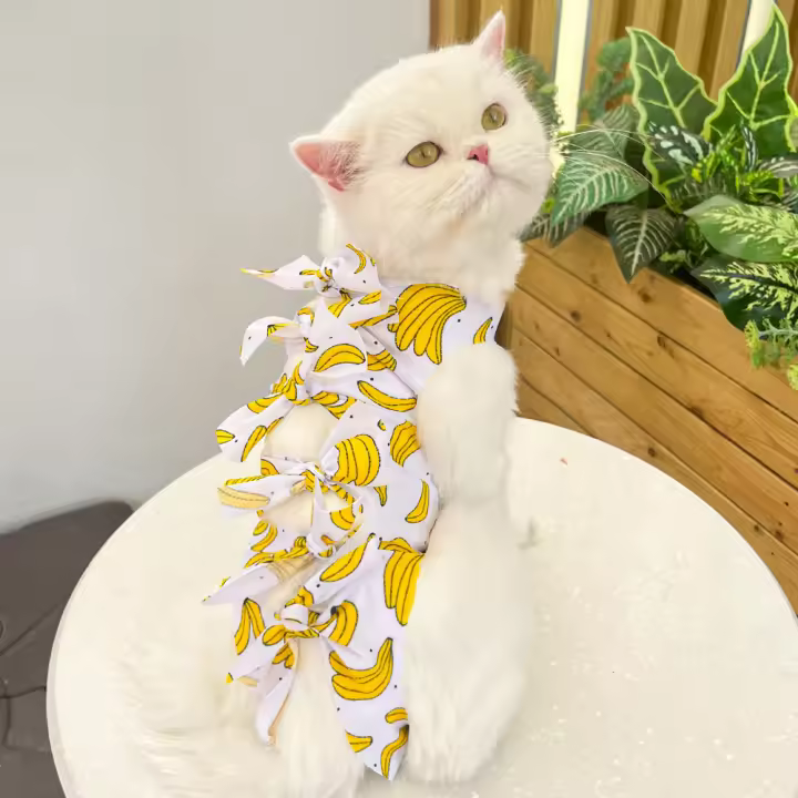 Ropa Postoperatoria Para Gatos Esterilizados Previene Lamería Transpirable Pantalones Fisiológicos Ayuda En El Desamamamiento Producto Para Mascotas - 1