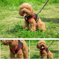 Juego De Arnes Y Correa Para Perros De Verano Transpirable Malla Reflectante Para Mascotas Gatos Y Chihuahuas Yorkies - details 5
