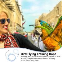 Correa De Entrenamiento Para Pájaros Parrot Con Cadena Antipatada Tamaño 6 Pies Material Resistente Para Exteriores Suministros Para Pájaros - details 4