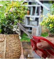 Tijeras De Podar De Acero Inoxidable Para Frutas Y Uvas Con Mango Cómodo De PP Herramientas De Jardinería Para Bonsái Y Flores Rojas - details 10