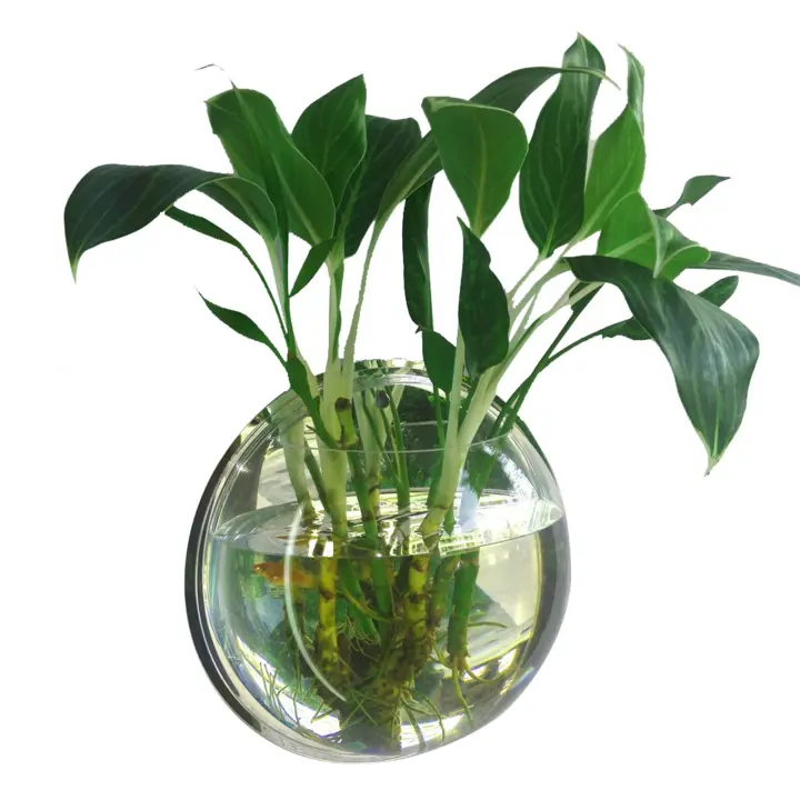 Acuario De Acrílico Para Decoración De Hogar Y Oficina Tanque De Peces Goldfish Montado En La Pared Forma De Florero Tamaño 15/23CM - 1