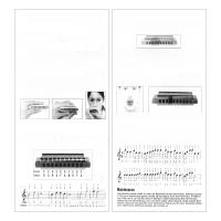 Harmonica Blues De 10 Agujeros 20 Aros Para Principiantes Con Placa De Arcilla De Cobre Marrón / Negro Regalo De Órgano De Bocina - details 29