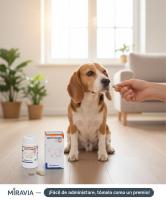 Bioiberica - Impromune 40 Comprimidos para Perros y Gatos - Sistema Inmunitario Envase Clínico 40 Comprimidos Palatables - details 1