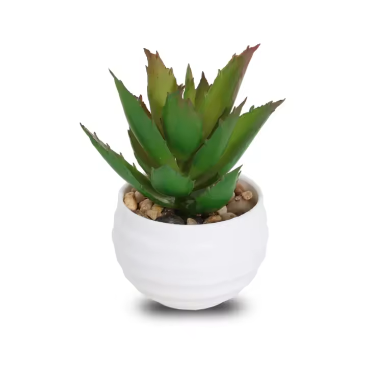 XIYA FLOWER Suculentas De Aloe Vera Artificiales En Estilo Moderno Con Maceta De Plástico Blanco Para Decoración Del Hogar Material PE - 1