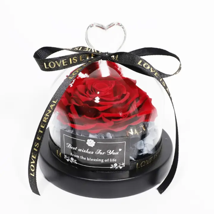 Regalo Creativo San Valentín Cumpleaños Mujeres: Rosa Eterna en Florero de Cristal para Bodas y Matrimonios - 1