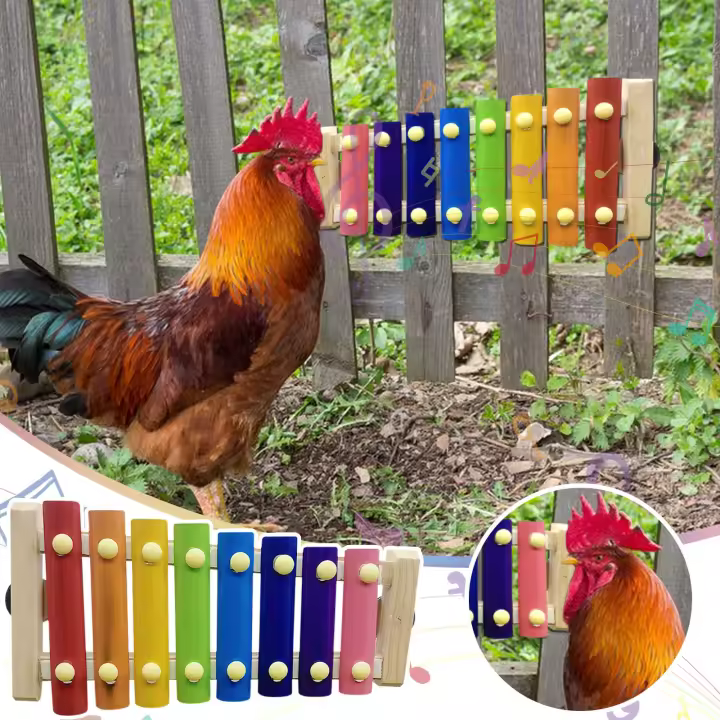 Xilofón De Madera Para Pájaros Accesorio Colgante Para Jaula De Periquito Pato Pollo Con 8 Teclas Instrumento Musical Para Canarios Macacos Hens - 1