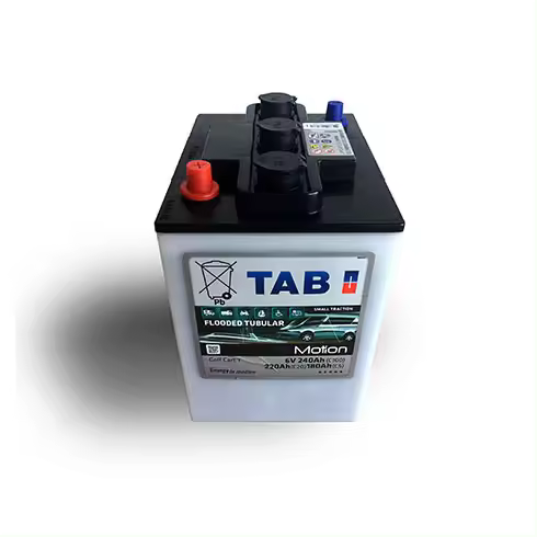Plusenergy - Batería solar 240Ah / 6v TAB Motion - 1