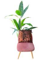 FUNDA DE COJIN 45*45 CON RELLENO INCLUIDO DE COLOR  CAFE - details 0
