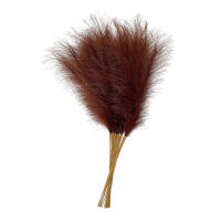10PCS Pampas De Paja Fluffy 55CM Decoración Bohemia Para Fiesta Y Hogar Plantas Artificiales De Rabo De Sapo Para Boda - details 17