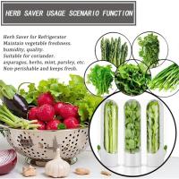 Caja De Almacenamiento Para Hierbas Frescas Como Coriandros Peras Espárragos Menta Mantener Verduras Frescas Durante 2-3 Semanas Plástico Resistente - details 9