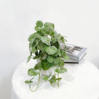 Planta Artificial De Pared Scindapsus 40-70cm Hojas De Hierba Falsa De Seda Para Decoración De Jardín Y Hogar Vines De Begonia Y Pino Fern - details 4