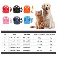 Juego De Correa Y Harnés Reflectante Para Perro Y Gato Transpirable Evita La Pulla Vestido De Dibujante Animado Para Todas Las Estaciones - details 2