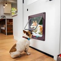 Puerta De Salida Para Perros Y Gatos Con Cerradura De Seguridad En 4 Direcciones Tamaño Transparente ABS Plástico Puerta Para Mascotas Seguridad Para Gatos Y Perros Pequeños - details 1