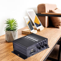 Amplificador De Audio HiFi Canal Para Coche Receptor De Música Estéreo FM MP3 Potencia 12V AK370 AK170 Accesorio De Audio Para Coche - details 3