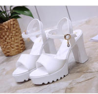 Sandalias De Plataforma Alta Para Mujer Con Hebilla Y Diseño De Boca De Pez Zapatos De Tacón Alto Casual Material PU - details 23
