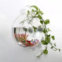 Acuario De Acrílico Para Pared Tanque De Pez Betta Y Exhibición Productos Para Mascotas Aquaticas Montaje En Pared - details 5