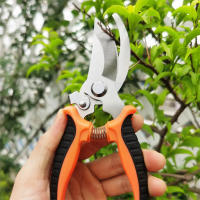 Tijeras De Poda Profesional Para Jardín Podadoras De Broca Afiladas Cortauñas Herramientas Para Arboles Tijeras De Mano - details 7