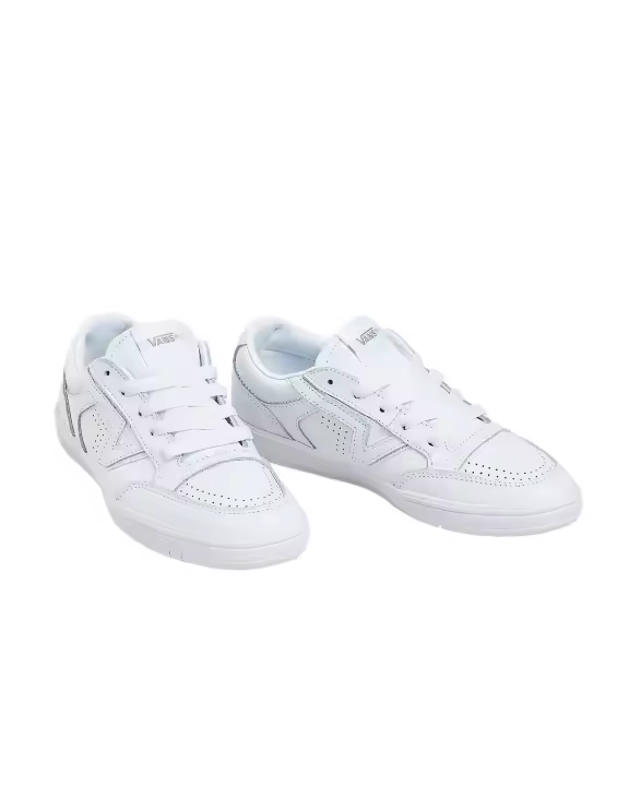 Zapatillas Vans Lowland Cc - Retro Skate 90s - Suela Comfycush - 1
