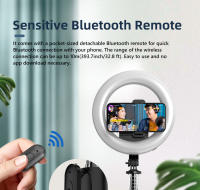 Palo Selfie Con Luz De Anillo De 8 Pulgadas Trípode Plegable De 1680mm Con Lámpara Recargable Bluetooth Sin Cable Para Smartphone iOS Android - details 12
