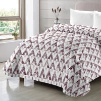 Terma Home - Edredón Nórdico Estampado Turbo Invierno Reversible 300g Alta Calidad Efecto Térmico Tacto Pluma Suave y Cálido 90 - 105 - 135 - 150 cm - details 2