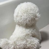 Muñeco De Peluche De Perro Bichon Lindo Simulación De Cabello Curvo Kawaii Muñeco De Peluche Real Para Niñas Y Niños Regalo De Cumpleaños Y Navidad - details 3