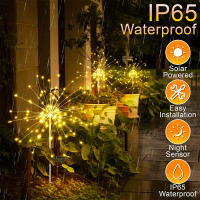 Luces Solares Para Jardín Impermeables Decorativas Para Camino Patio Jardín Flor Lampara De Fierro Artificiales Luz LED Moderna - details 3