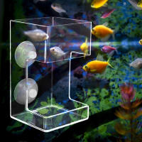 Alimentador De Peces Columna Para Acuario Alimento Para Gamberos Brillos Alimentador Para Betta Y Gamberos Cereza - details 2