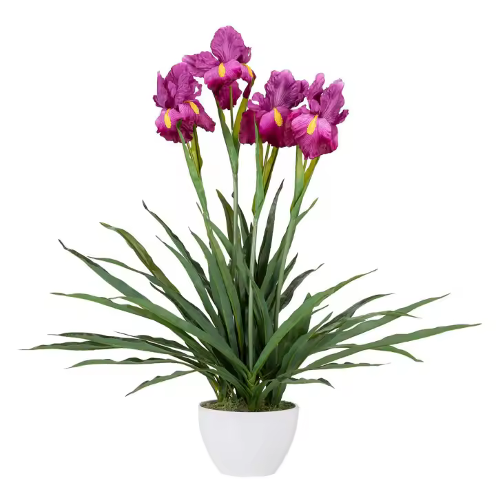 Adda Home Planta Orquidea Cattleya Artificial 60x60x70 Cm - 1