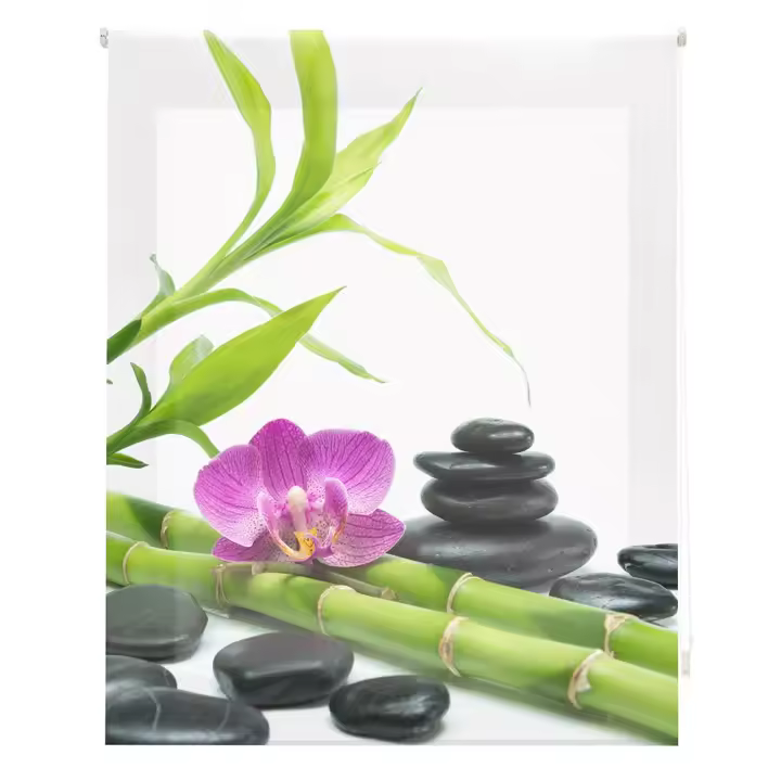 HAPPYSTOR  Estor Enrollable Traslúcido Estampado Digital Zen HSCZ94005 - 1