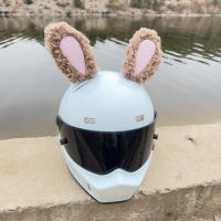 Decoración De Gafas De Invierno Conejo Rabioso Para Casco De Bicicleta Eléctrica Y Motocicleta Accesorio De Cabeza De Peluche Lindo Un Par - details 4