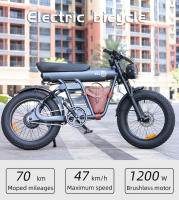 2025 bezior xf006 20 pulgadas Bicicleta Eléctrica de neumáticos Gordos 4.0 48v23.2ah catería de Lithium de Alta velocdad sin Freno hidráulico de Motor - details 0