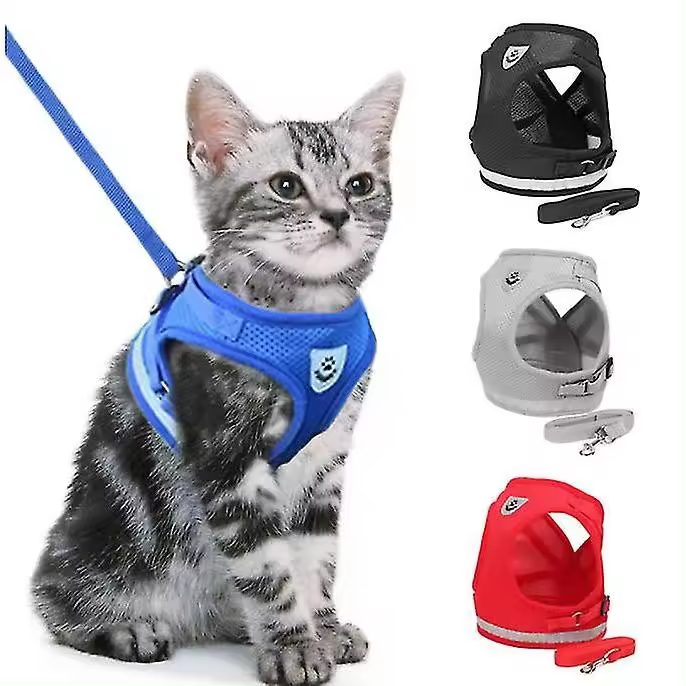 Arnés de Gato, Prueba de escape de arnés de Gato - 1