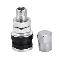 10pcs Válvulas De Rueda De Metal Para Coche Camión Motocicleta Con Tapa Antipolvo Corto Estilo TR161 - details 7