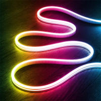 Tira De Luz LED Neón 10M/32.8ft RGBIC WiFi Flexible Con Soporte Para Alexa Y Alexa Pantalla Compatible Con Alexa Control Remoto Inalámbrico Para Decoración De Hogar - details 20
