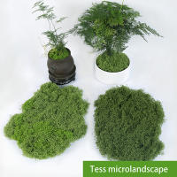 1PC DIY Hierba Artificial Verde Fresca Moss Para Jardín Terrariums Decoración De Centros De Mesa De Boda Micro Paisaje De Leno - details 2