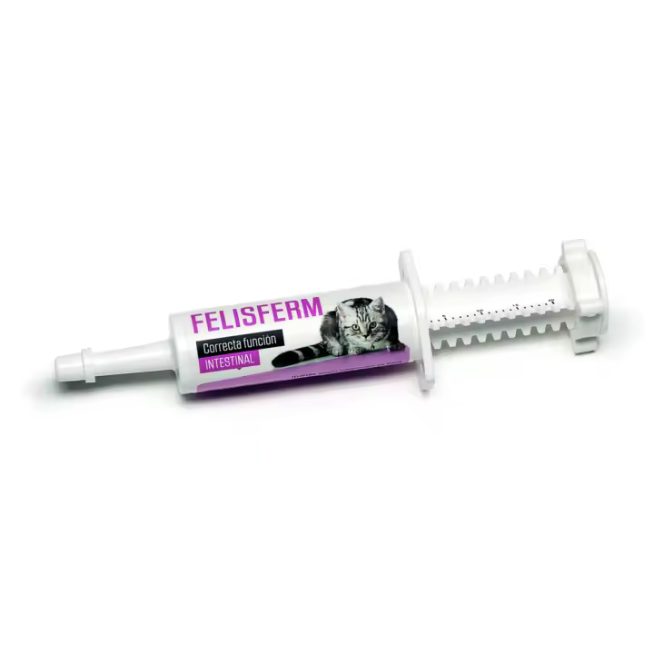 Felisferm - 1