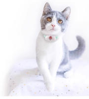 Collar De Juguete Para Gatos Con Láser Inteligente Recargable Por USB Accesorios Interactivos Para Entrenamiento De Mascotas - details 10