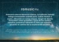 Romusic Harpa Diatónica De Blues En Clave De C Con Estuche Harpa Oral De 10 Agujeros Para Adultos Instrumento Musical - details 1
