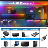 Tira De LED WS2812B Neón Inteligente RGBIC Individualmente Direccionalizable Impermeable Con Control Remoto Bluetooth 28 Teclas Para El Dormitorio - details 6