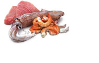 FARMINA N&D CAT OCEAN ATUN CALAMAR GAMBA CAJA 24X70GR - details 0