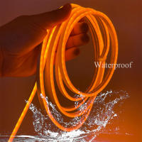 Tiras De Luces Neón Flexibles 5V USB Impermeables Para Exterior Decoración De Juego Sala De Estar Cocina Dormitorio Halloween Navidad LED Lámpara - details 2