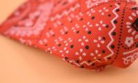 Pañuelo Triangular Ajustable Para Gatos Y Perros Almohadilla De Lengua Impresión Personalizada Collar Para Perros Y Gatos Recién Nacidos Accesorios Para Mascotas - details 5