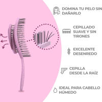 DEBEKOR Pack 3 y 6 Cepillos del Pelo Desenredantes Antitirones y Antirrotura - Para todo tipo de pelo - details 2