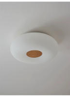 Lámpara De Techo LED Nórdica Para Iluminación Interior De Sala De Estar Dormitorio Baño Pasillo Y Cocina Decoración De Hogar Material Metálico Estilo Moderno - details 4