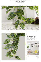 45cm Planta Artificial De Vínculo Hojas De Iva Falsas Scindapsus Aureus Rattan Para Decoración De Hogar Boda Jardín - details 12
